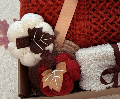 Cozy Care Package with Crochet Blanket Ceramic Mug Fall Theme Gift